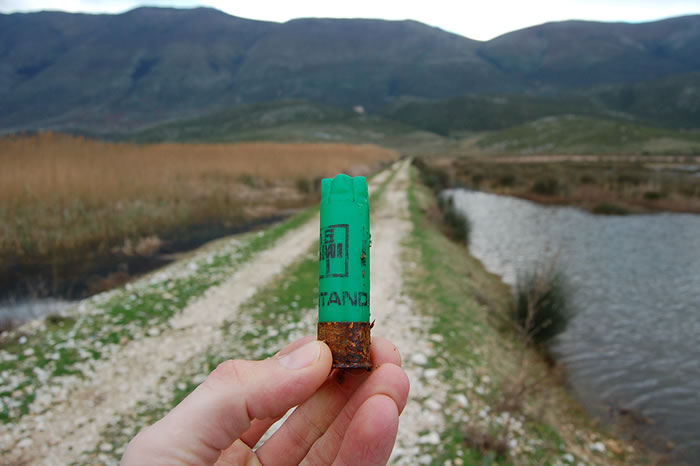 Ӣ��ţ���ѧ�о����棺ÿ��Լ10��ֻʪ��������Ͼ��ӵ���Ǧ��������