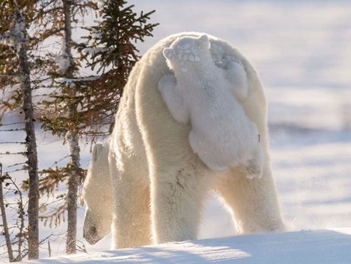 ô߲˹˹ҹ԰Сܳμƨ