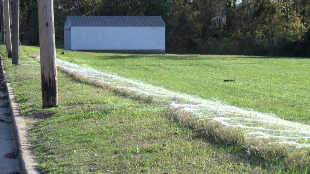 ڴ＾fеصcfřǸߴֲK³܉׌̧dĽzPhotograph by WMC A