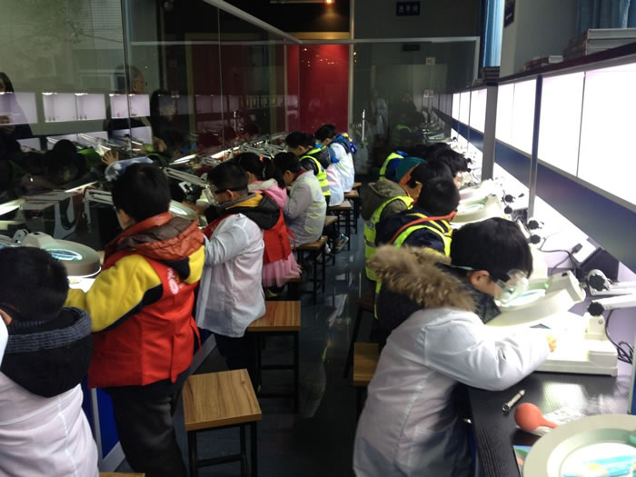 专业化石修复实验基地——达尔文实验站在南京古生物博物馆正式落成