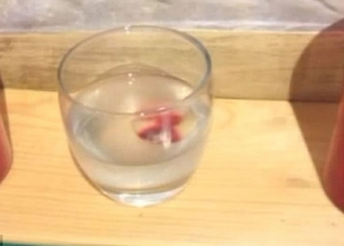 ������ʱ�Ѱѡ���Ѫʥ�������ߵ��顣