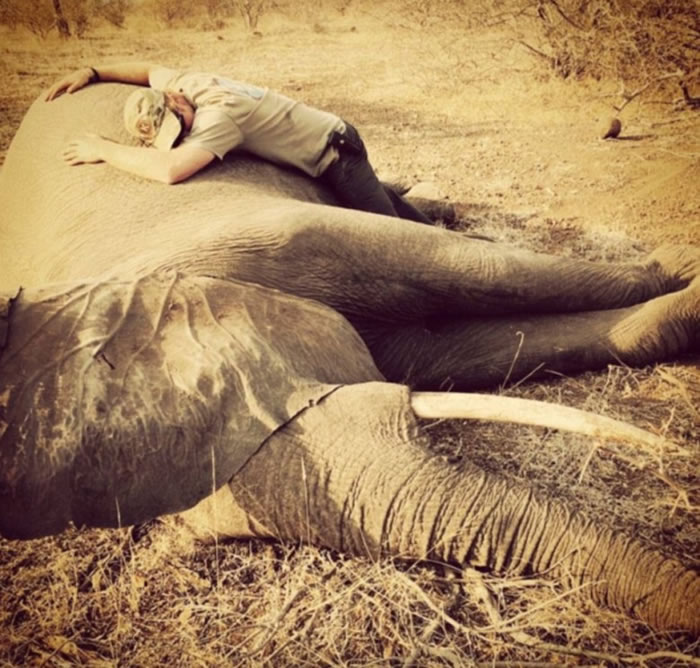 ���������������ͬ�������Ϸ�ʱ��������һͷ��ɱ�ķ��޴���