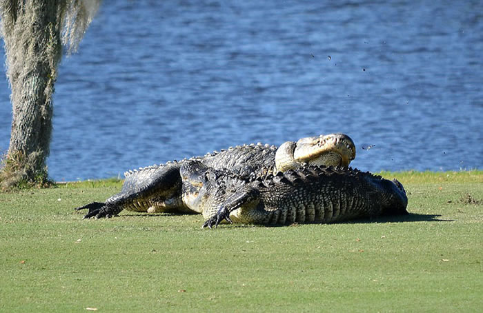 ��ֻ������������������ݸ߶���������ɱ