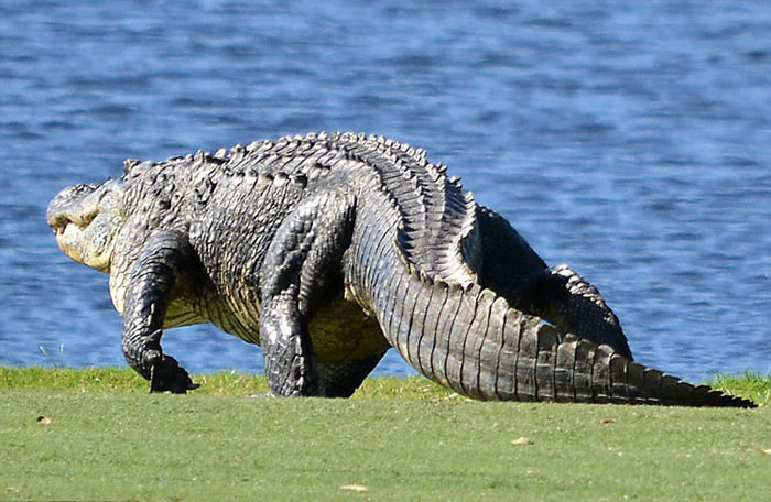 ��ֻ������������������ݸ߶���������ɱ