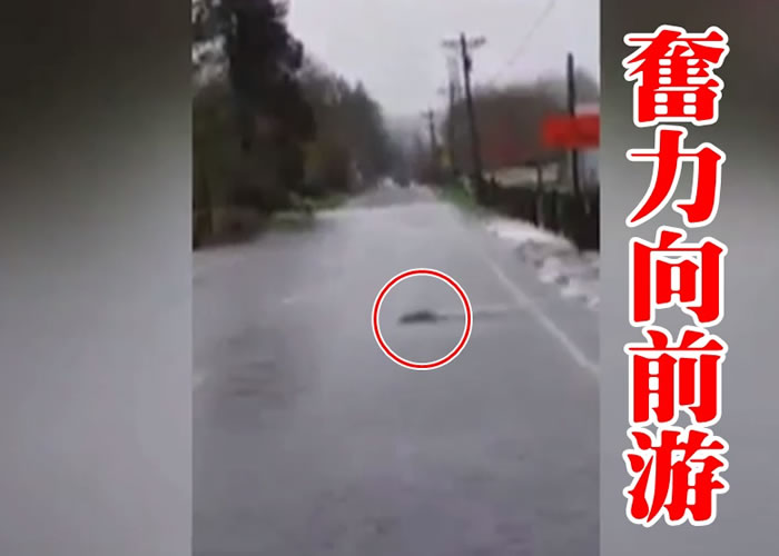 �����㣨��Ȧʾ�������ˮ�ļ������Ը��ٺ����·��