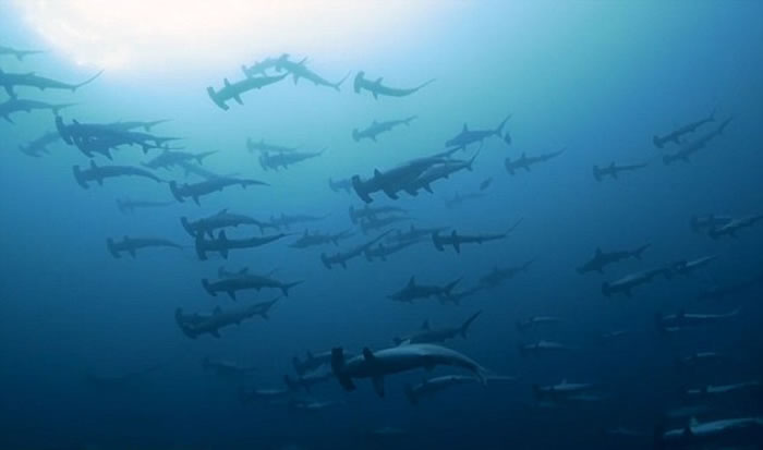 ǱˮԱ㵽60ͷͷ輯Ǩ𺳳