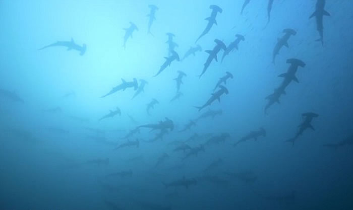 ǱˮԱ㵽60ͷͷ輯Ǩ𺳳