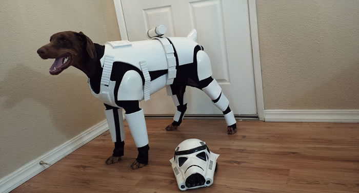 �ű�Ȯ�����ݡ������������Ƶġ������ս���еĵ۹�����ʿ��ս������������ʿ����