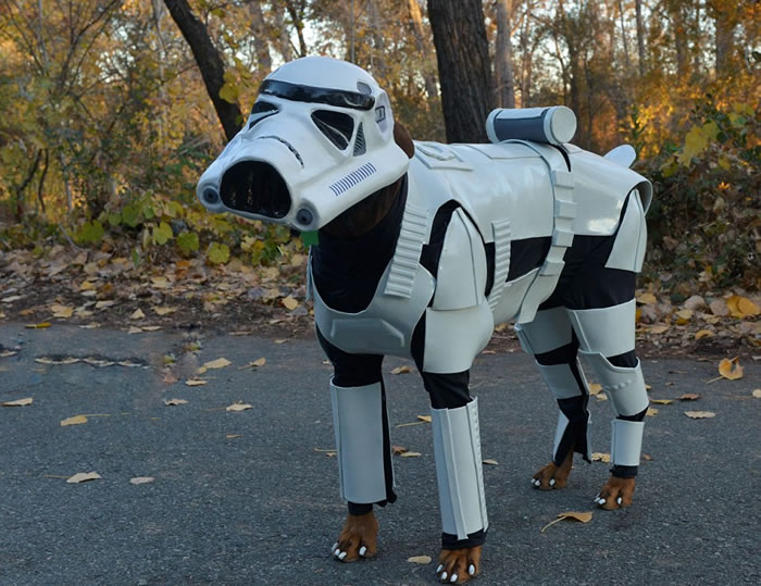 �ű�Ȯ�����ݡ������������Ƶġ������ս���еĵ۹�����ʿ��ս������������ʿ����