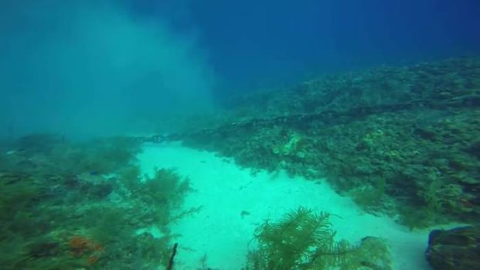 这条锚扰乱水底的宁静气氛