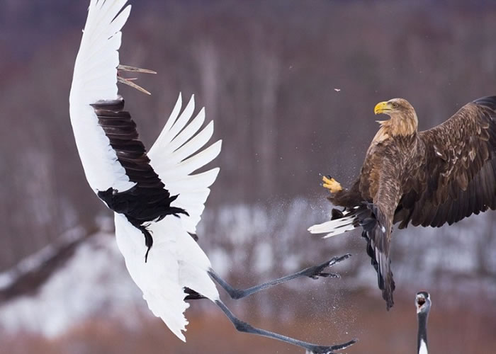 βӥңͼӵ׿㵱ͣ漴צ