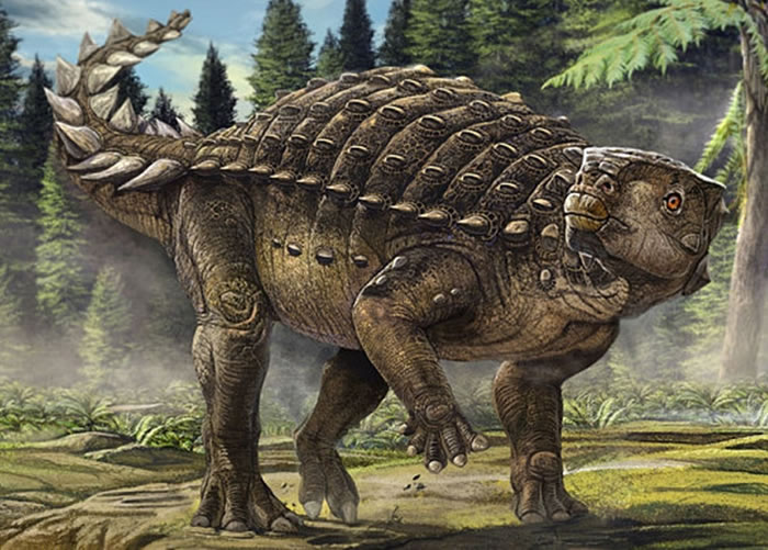 澳洲发现新恐龙Kunbarrasaurus。图为画家构想图。