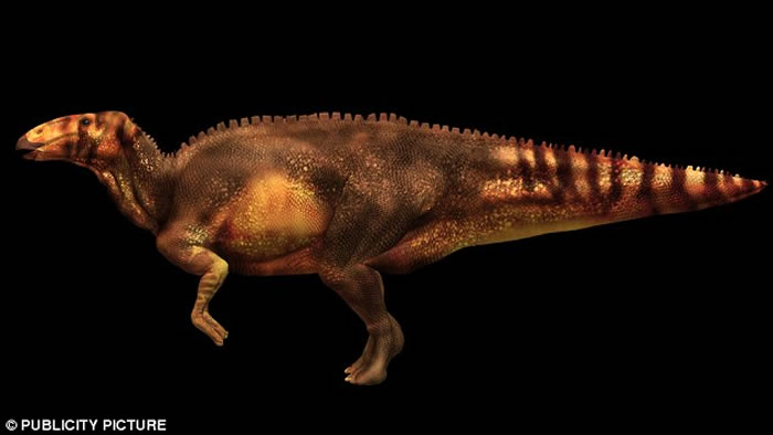 古生物学家研究发现8000万年前恐龙化石中残留着血管组织