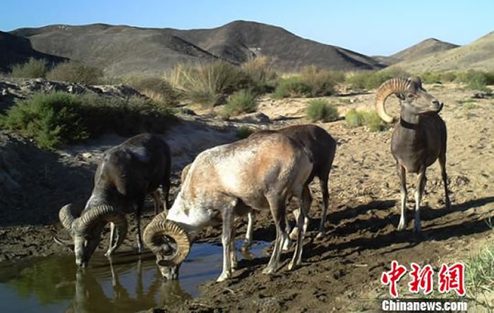 ͼΪ�������㵽�Ĺ��Ң��ص㱣���������򡣰�����Ȼ�����������ֹ�ͼ