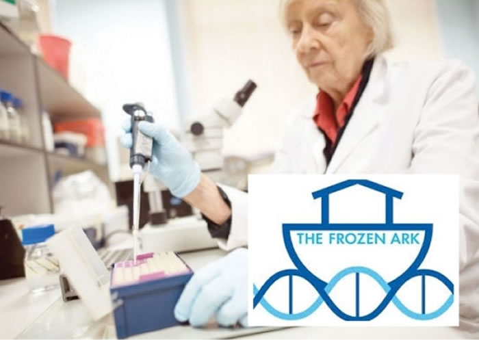 Ӣ����ѧ�ҽ������������ۡ��������Σ���ֶ����DNA��