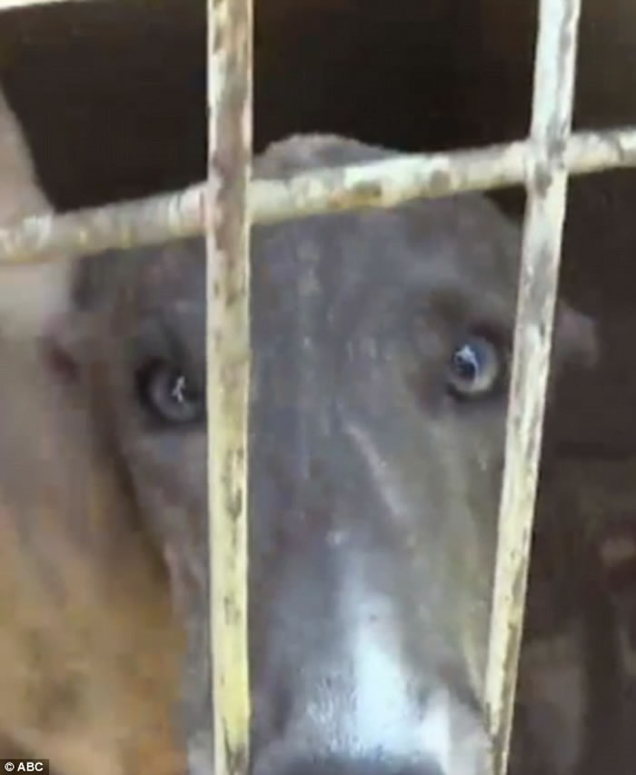 �ĺ���̩�����������ͻҹ���������������