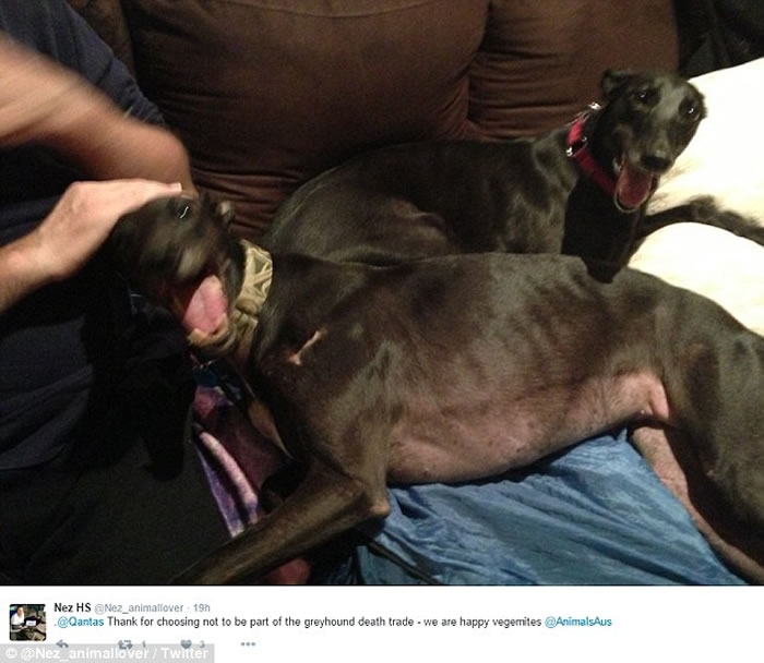 �ĺ���̩�����������ͻҹ���������������