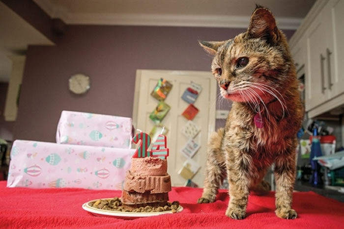 2014�걻�϶�Ϊȫ����ٵ�èPoppy���24��