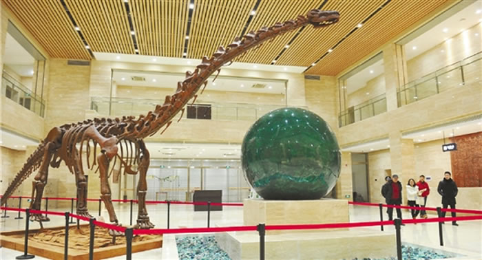 体型巨大的“中国东阳龙”