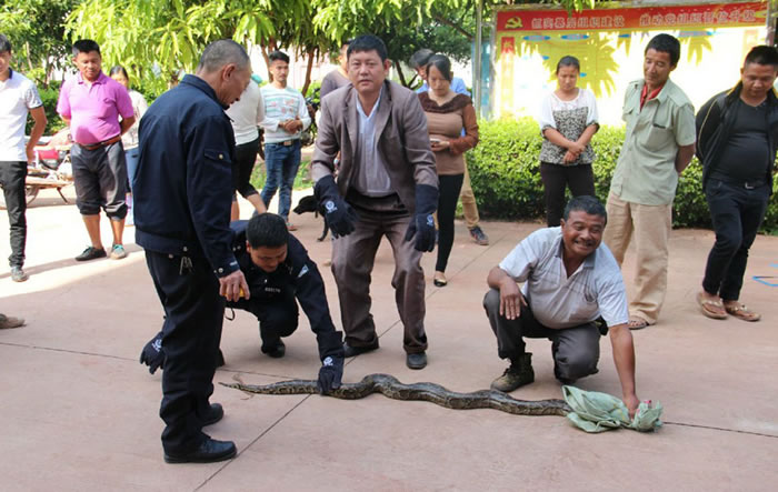 ���ϳ���ʩ����ʩ��ʱ����100������