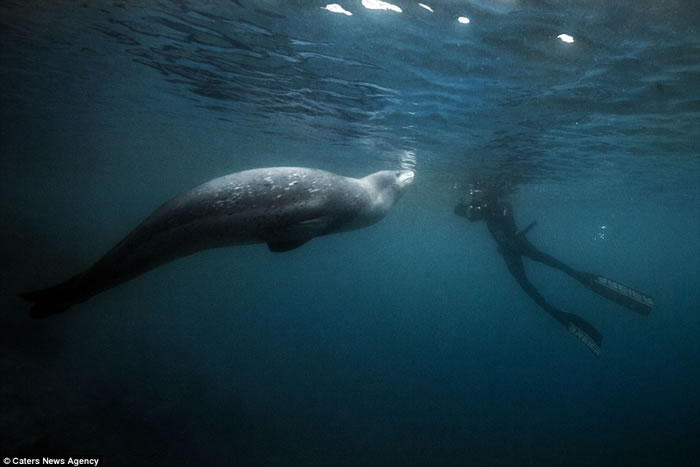 ������Ӱʦ���ϼ���Ǳˮ���º�����ʽ��������Ȥ�����Ϳɰ�����