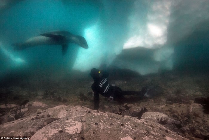 ������Ӱʦ���ϼ���Ǳˮ���º�����ʽ��������Ȥ�����Ϳɰ�����