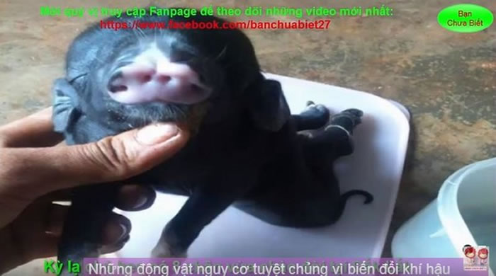 Խ�Ϲ���8����4���ǿ� �����������