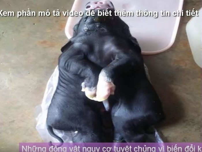 Խ�Ϲ���8����4���ǿ� �����������