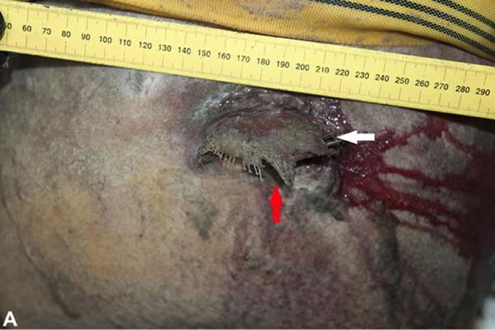 һ������(��ͷ��)��ס���캽����������