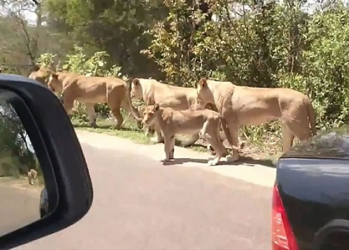 ʨȫûйͼֻ;תͷһ۾ͼȥ