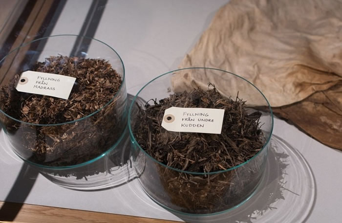 睡枕内的植物材料