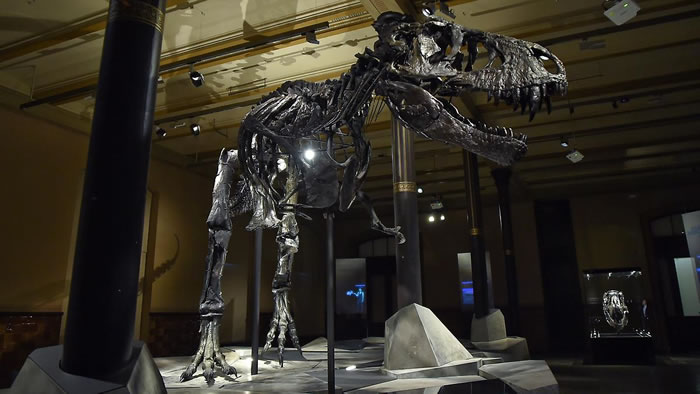 ������Tristan Otto�������������ڵ¹�������Ȼ��ʷ����Ժչ��