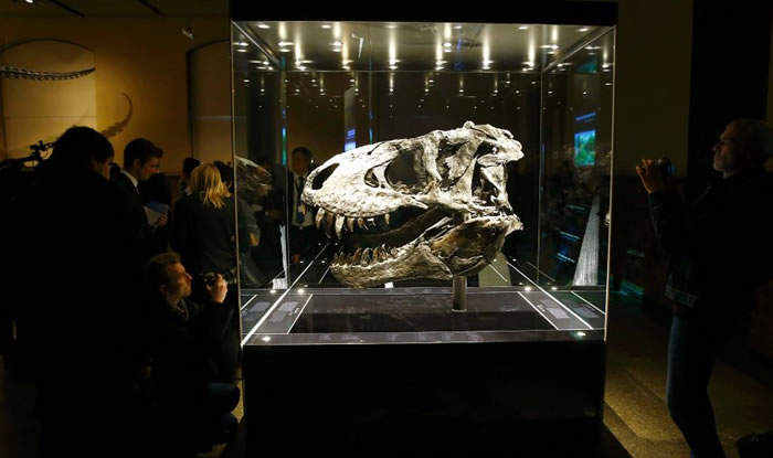 ������Tristan Otto�������������ڵ¹�������Ȼ��ʷ����Ժչ��