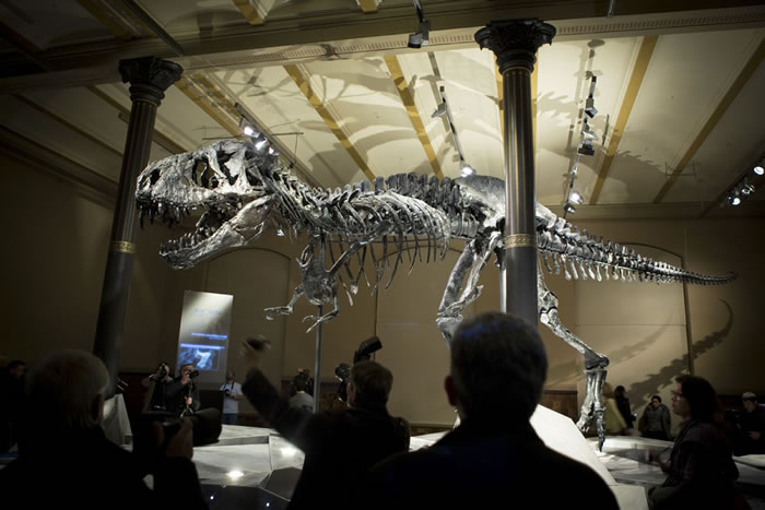 ������Tristan Otto�������������ڵ¹�������Ȼ��ʷ����Ժչ��