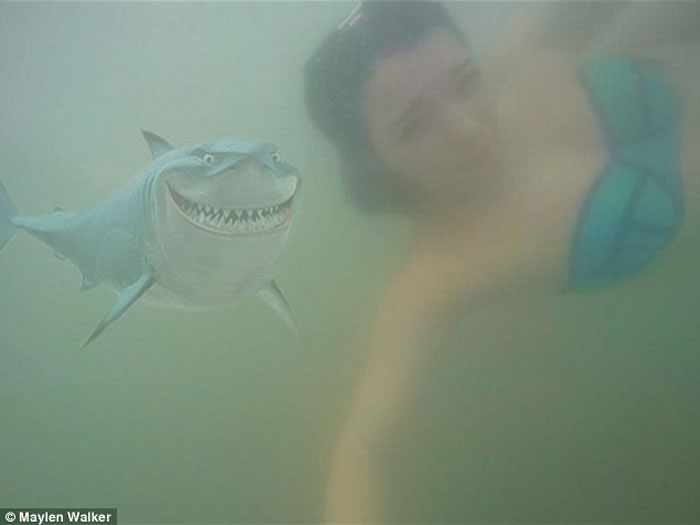 澳大利亚业余摄影师晒与鲨鱼合照吓坏家人