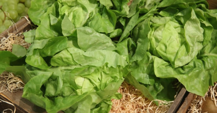 ݫ��̼�ŷ��������3��