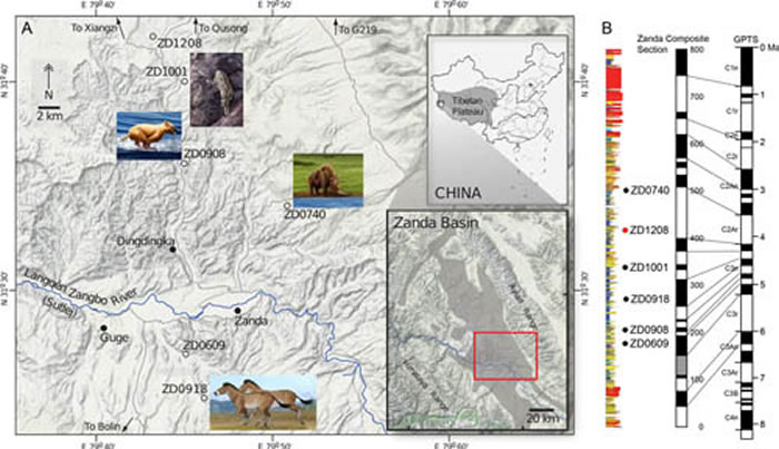 ͼ1 ذأʢ鶯ﻯʯרзëϬѩıʯ˵ļͱڶ߳