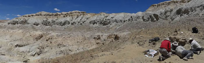 ͼ 2 רҰڸߺΡȱظԭϼ෢򣬻๷ʯϡ㣩