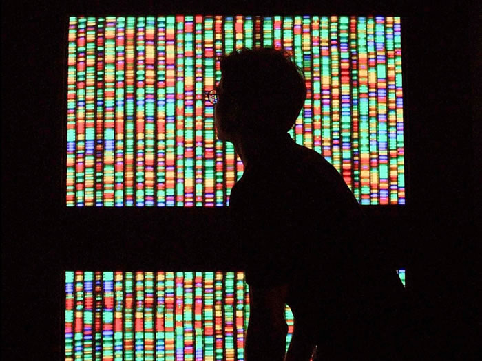 ѧ־2015ĿѧͻơCRISPR