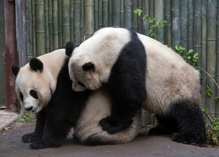 �о�������è����ѡ���԰�Ļ�����������������ӡ�