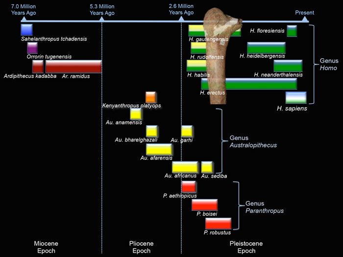 ��¹���ɹ����������ʱ����Ͽ��ܵ�λ��