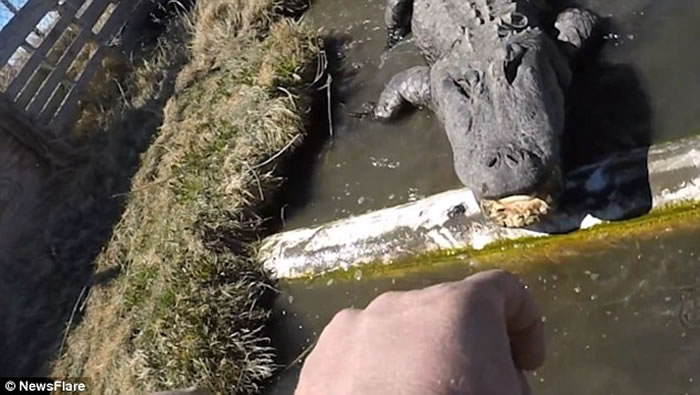 ���������������ִ�����������ͷ�ľ�����Ƶ