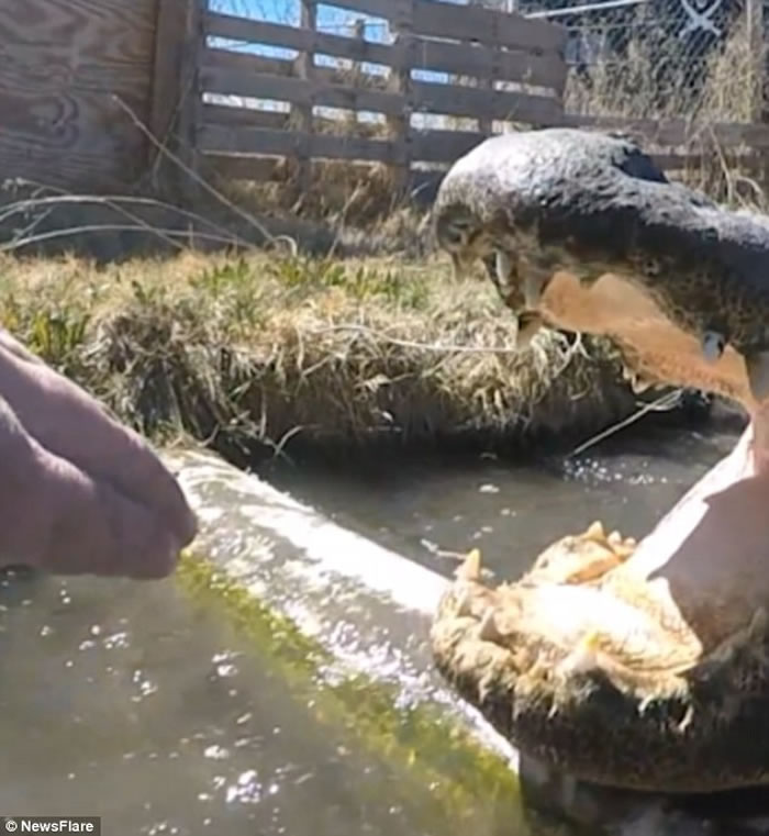 ���������������ִ�����������ͷ�ľ�����Ƶ