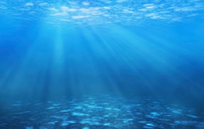 ��κ�����̽�����������⿪���ֿ�ѧ���š�