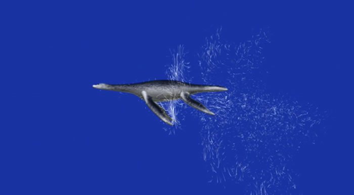 研究表明蛇颈龙像企鹅一样游泳