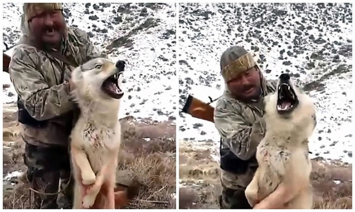 ������˹̹���˲�����ĥҰ��