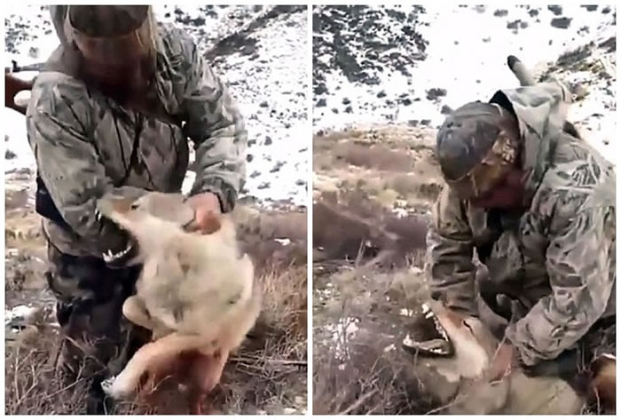 ������˹̹���˲�����ĥҰ��