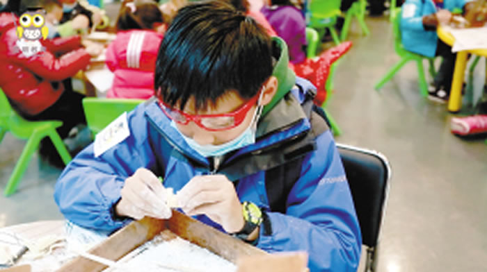 认真拼搭恐龙模型的“小小考古家”。