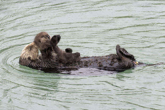 ˮ̡����Ѻ��Ӹ߸߾���