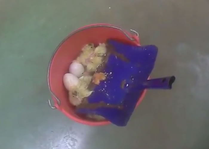 �����Դ�����СѼ��ͬ����